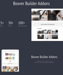 Addons for Beaver Builder Pro WordPress Plugin