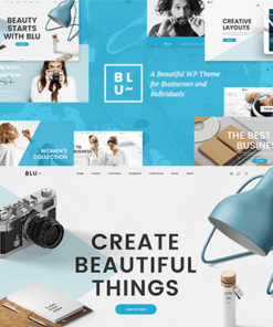 Blu – A Beautiful Theme for Businesses and Individuals