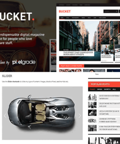 BUCKET – A Digital Magazine Style WordPress Theme