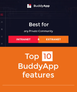 BuddyApp – Mobile First Community WordPress theme