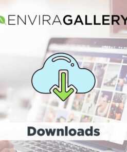 Envira Gallery Downloads Addon