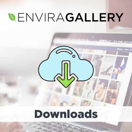 Envira Gallery Downloads Addon - Tony Công