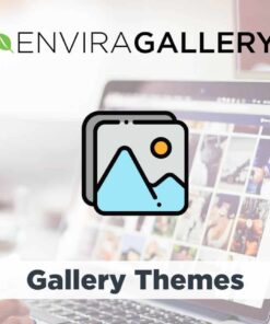 Envira Gallery Gallery Themes Addon