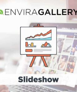 Envira Gallery Slideshow Addon