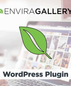Envira Gallery WordPress Plugin