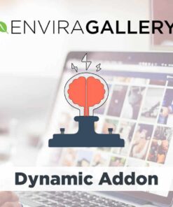 Envira Gallery Dynamic Addon