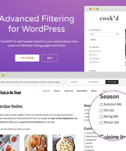 FacetWP – Advanced Filtering For WordPress