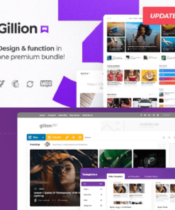 Gillion | Multi-Concept Blog/Magazine & Shop WordPress Theme