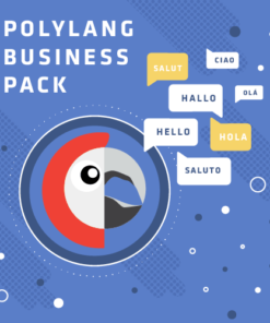 Polylang Business Pack
