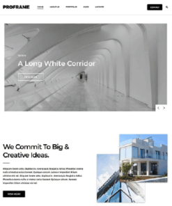 Theme Junkie Proframe WordPress Theme