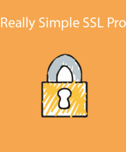 Really Simple SSL Pro
