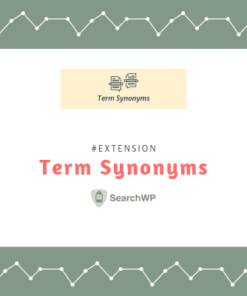 SearchWP Term Synonyms