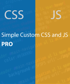 Simple Custom CSS and JS PRO