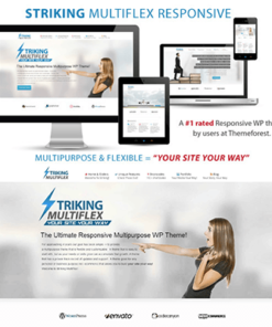 Striking MultiFlex & Ecommerce Responsive WP Theme