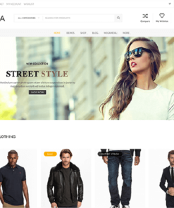 Theme Junkie Saha WordPress Theme