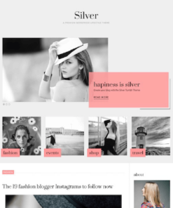 Theme Junkie Silver WordPress Theme