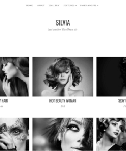 Theme Junkie Silvia WordPress Theme
