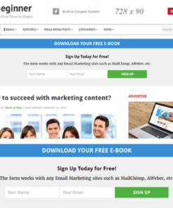 Theme Junkie Beginner WordPress Theme