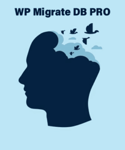 WP Migrate DB PRO