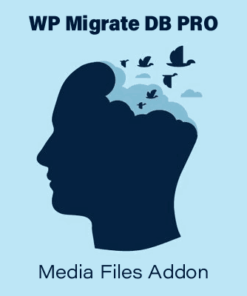 WP Migrate DB PRO – Media Files Addon