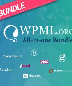 WPML All-in-one Bundle