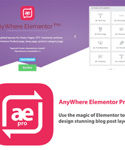 Anywhere Elementor Pro