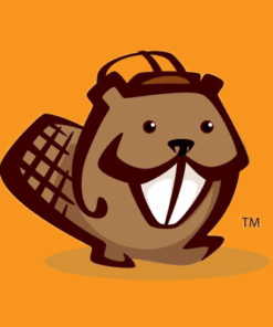 Beaver Builder Professional