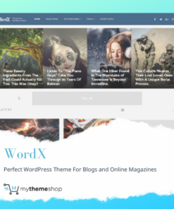 MyThemeShop WordX