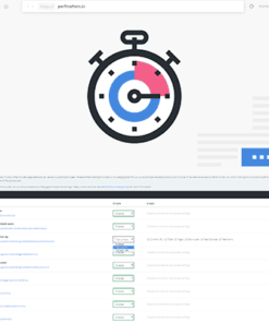 Perfmatters – Lightweight WordPress Performance Plugin