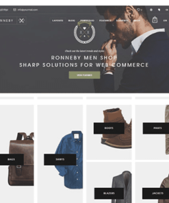 Ronneby – High-Performance WordPress Theme
