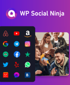 WP Social Ninja Pro