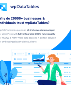 wpDataTables Premium – Tables and Charts Manager for WordPress